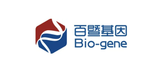 Guangzhou Baiji Gene Technology Co., Ltd