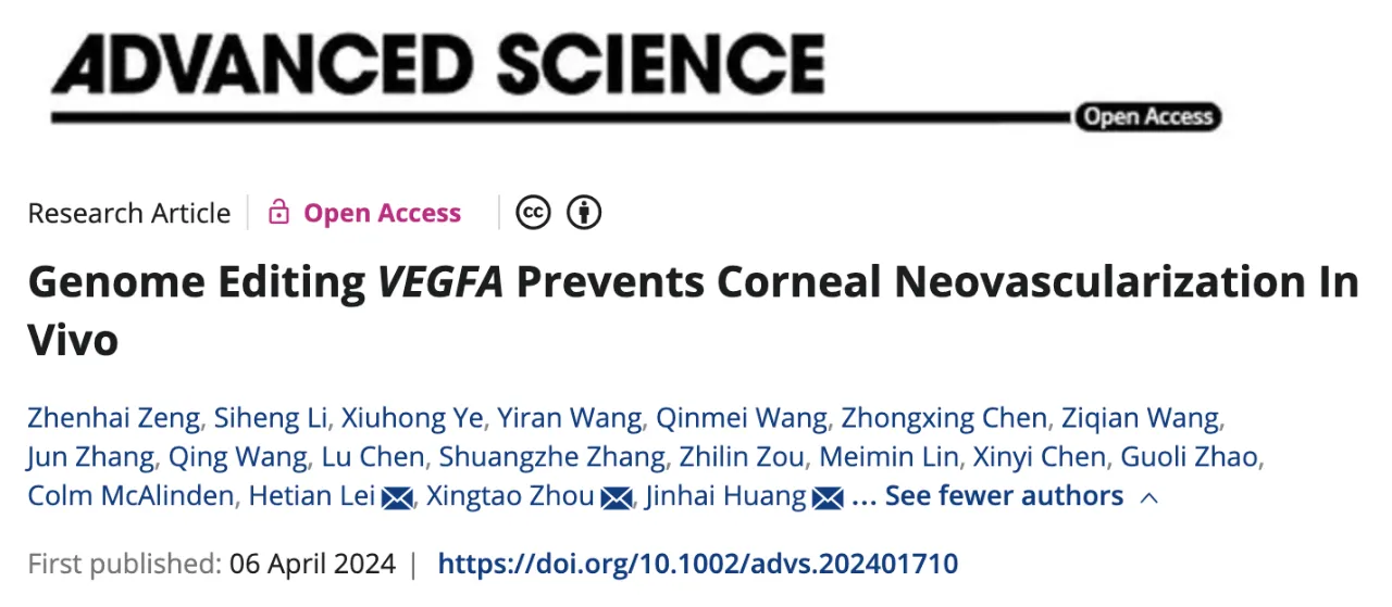 Genome Editing VEGFA Prevents Corneal Neovascularization In Vivo